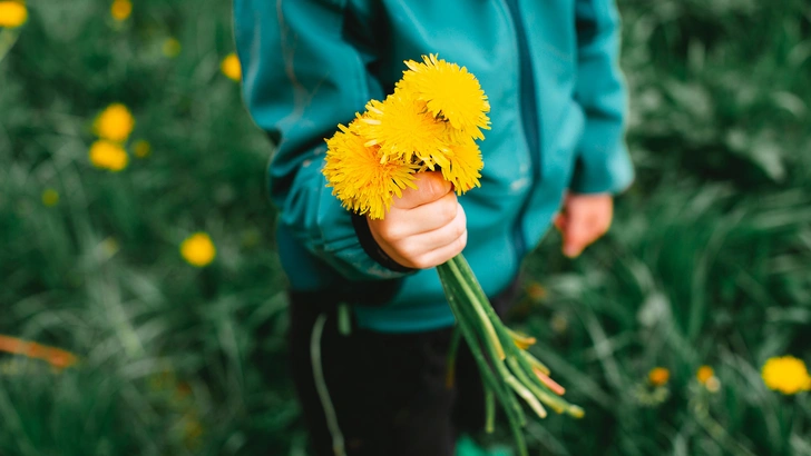 Источник: Unsplash